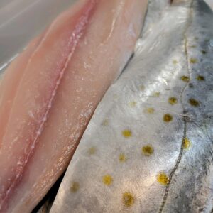 Spanish Mackerel