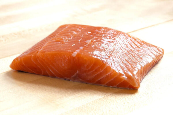 Salmon