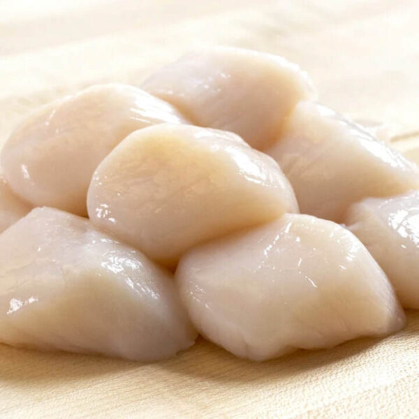 Scallops